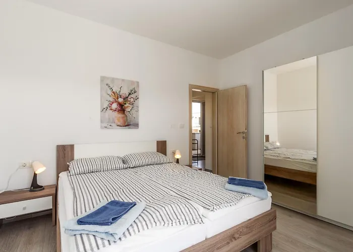 Olea Novigrad Appartamento Novigrad Istria